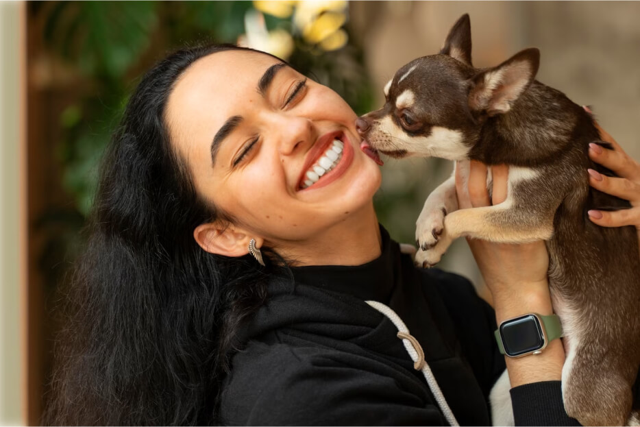 Como preparar seu pet para uma cirurgia veterinária